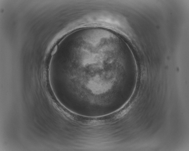 X0000078891506200611131217