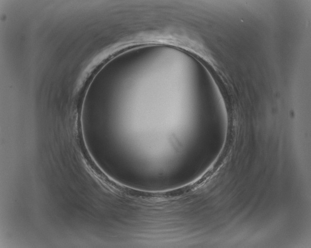 X0000078891507200611131217