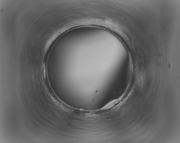 X0000078891509200611131217