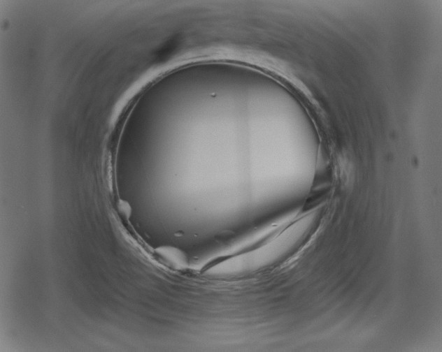 X0000078891510200611131217