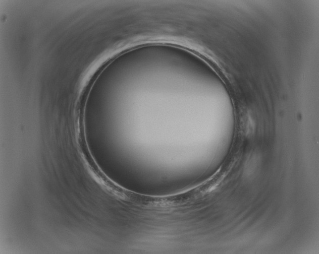 X0000078891511200611131217