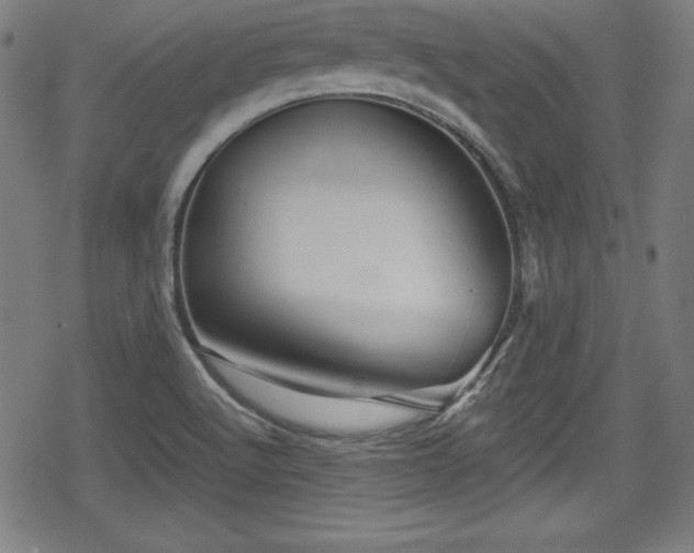 X0000078891512200611131217