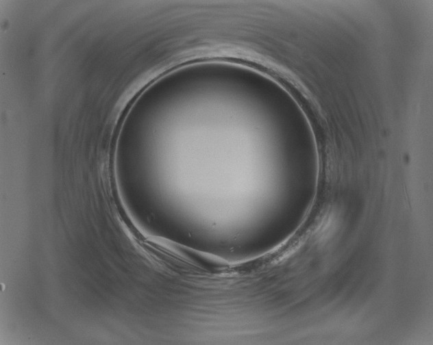 X0000078891513200611131217