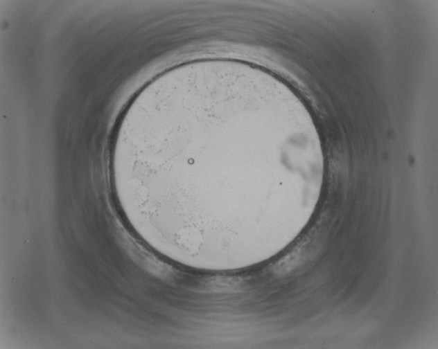 X0000078891514200611131217