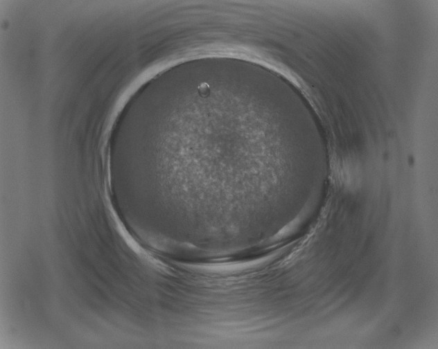 X0000078891515200611131217