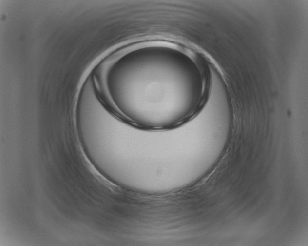 X0000078891516200611131217