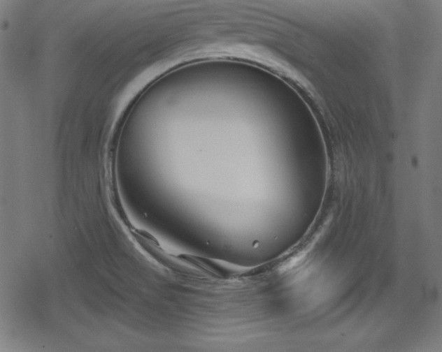 X0000078891517200611131217