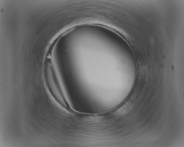 X0000078891518200611131217