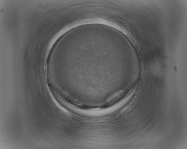 X0000078891519200611131217