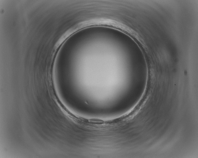 X0000078891521200611131217