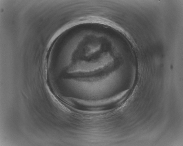 X0000078891522200611131217