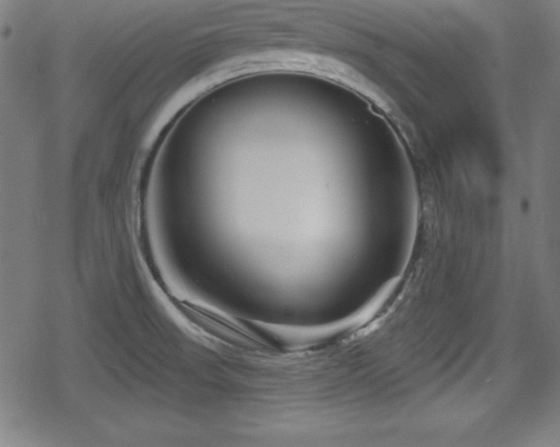 X0000078891523200611131217