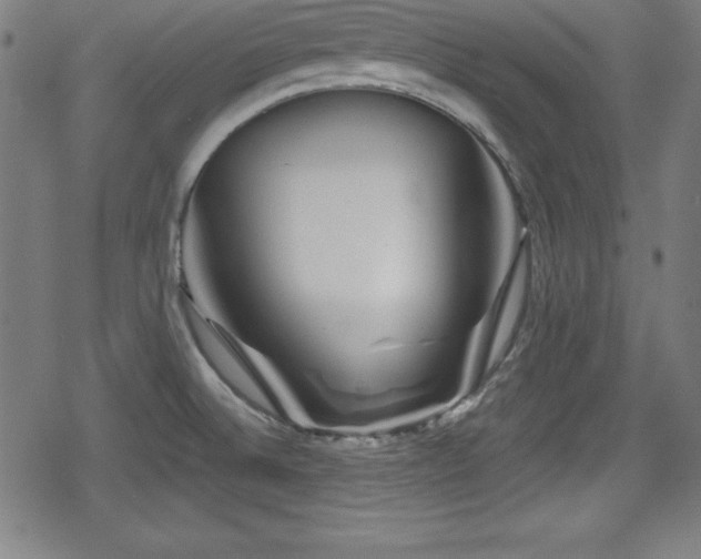 X0000078891524200611131217