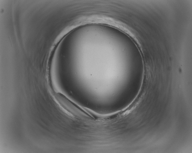 X0000078891525200611131217