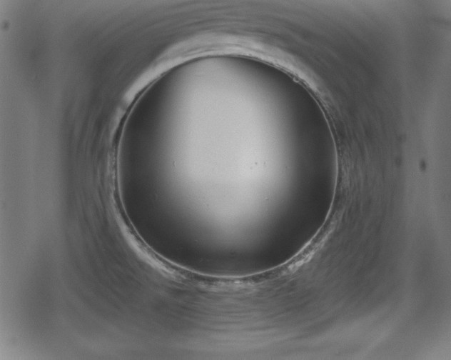 X0000078891526200611131217