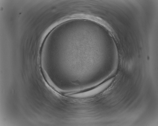 X0000078891527200611131217