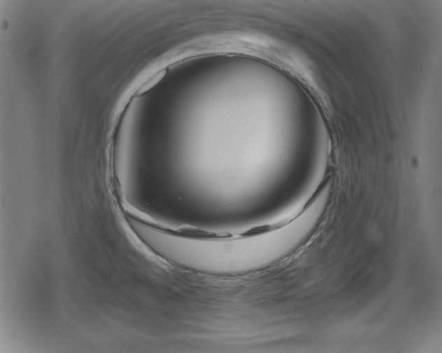 X0000078891528200611131217