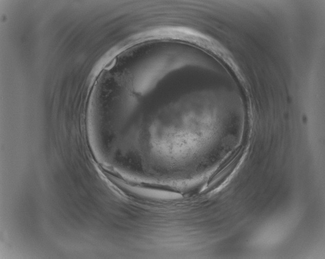 X0000078891529200611131217