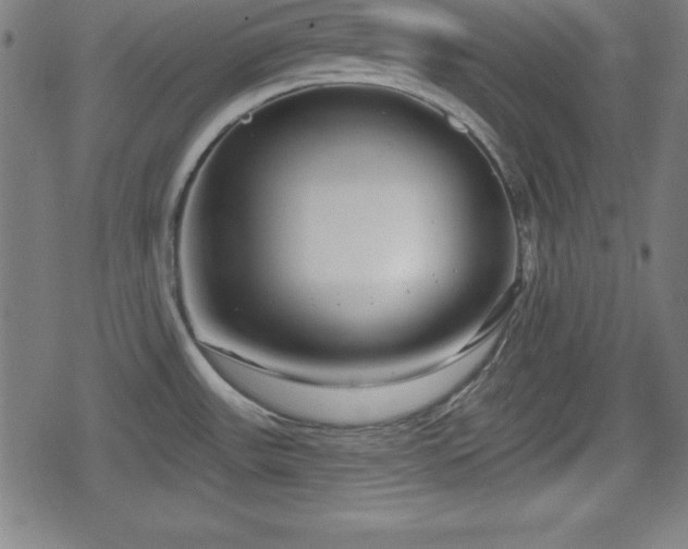 X0000078891531200611131217