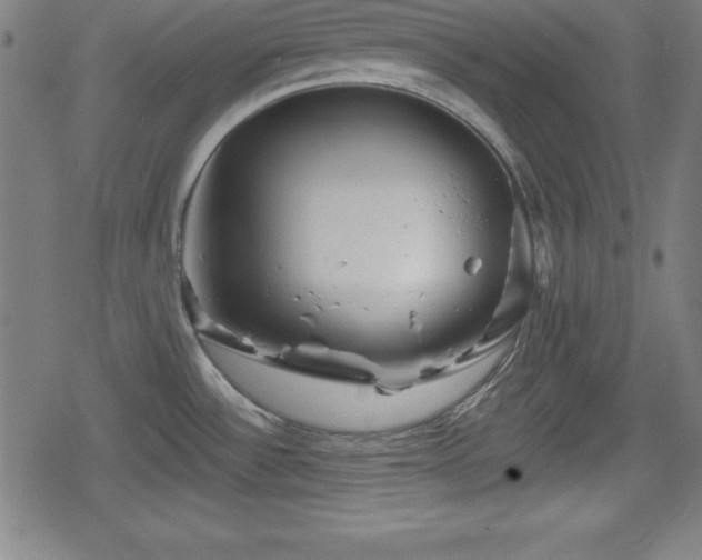 X0000078891532200611131217