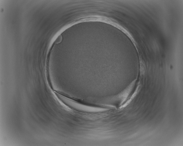 X0000078891533200611131217