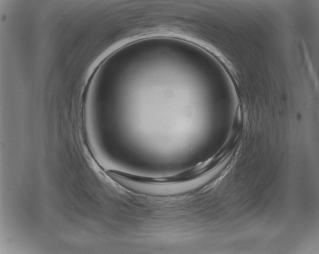 X0000078891534200611131217