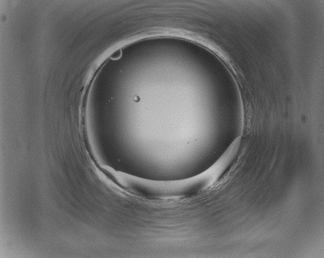 X0000078891535200611131217