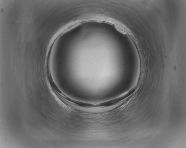 X0000078891536200611131217