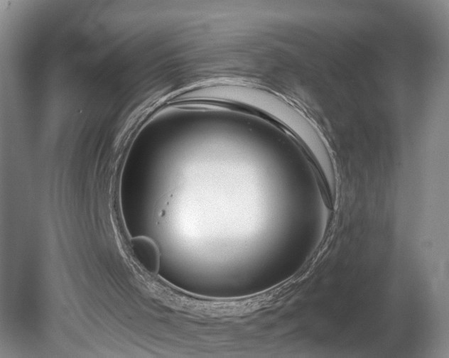 X0000078890001200611201449