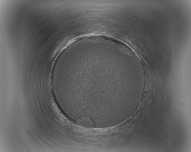 X0000078890002200611201449