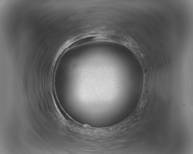 X0000078890003200611201448