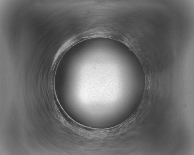 X0000078890004200611201448