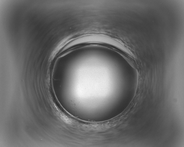 X0000078890005200611201448