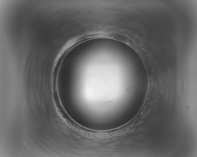 X0000078890006200611201448