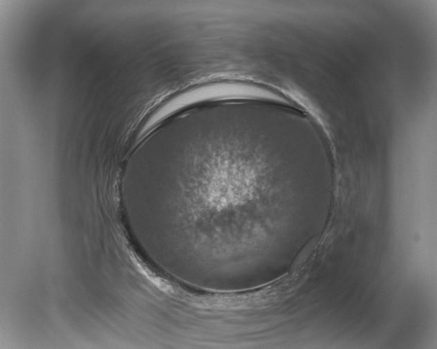 X0000078890009200611201448