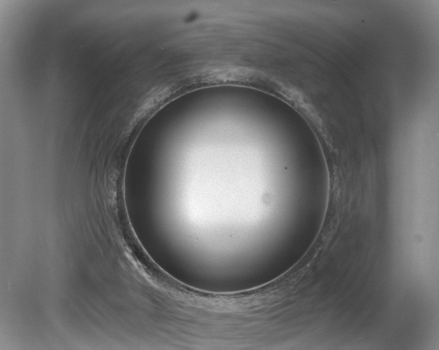 X0000078890010200611201448