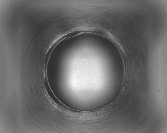 X0000078890011200611201448