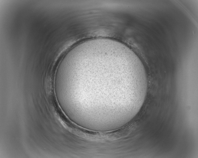 X0000078890012200611201448