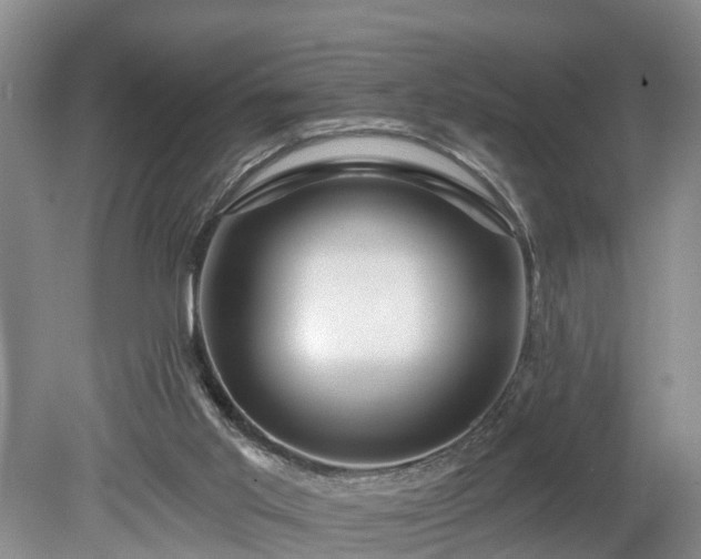 X0000078890013200611201448