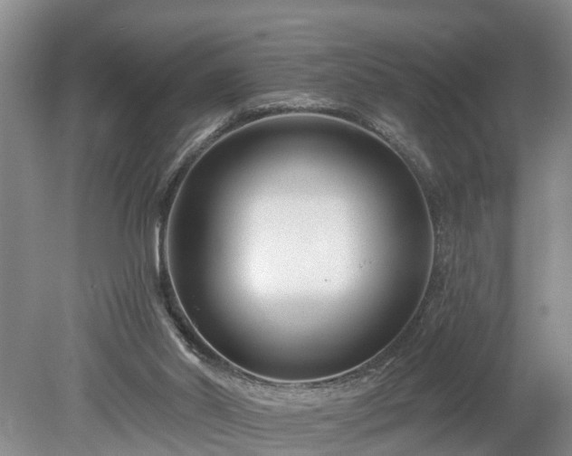 X0000078890014200611201448