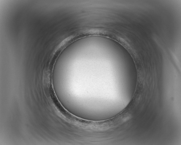 X0000078890016200611201448