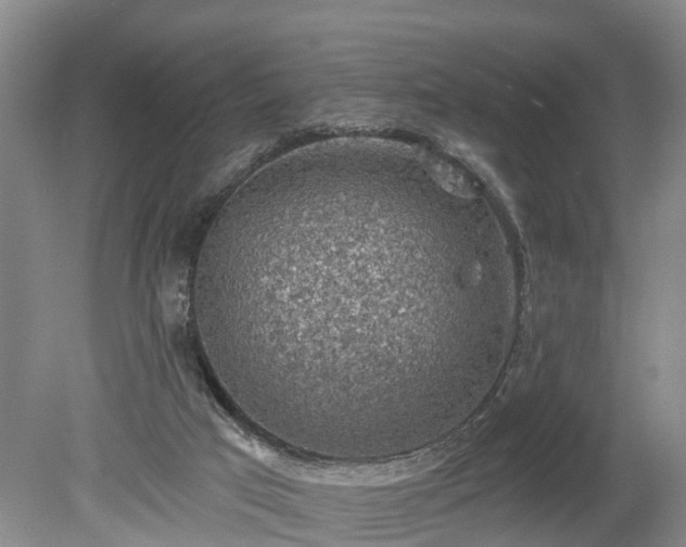 X0000078890017200611201448