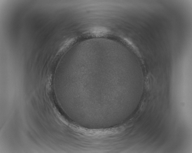 X0000078890018200611201448