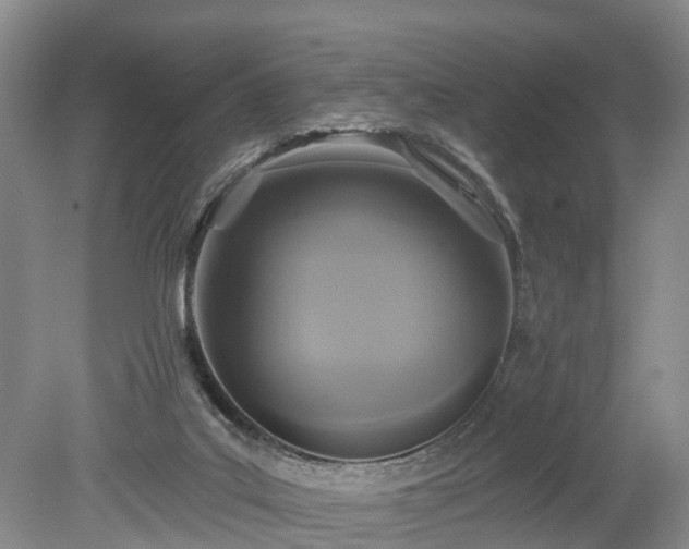 X0000078890019200611201448