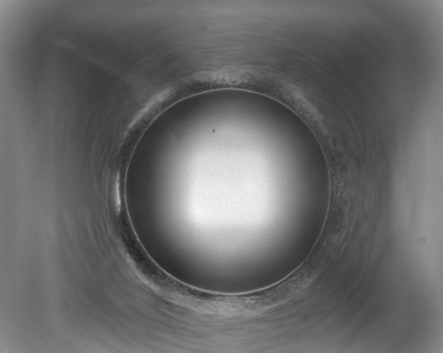 X0000078890020200611201448