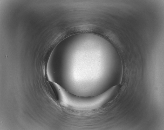 X0000078890021200611201448