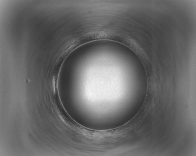 X0000078890022200611201448