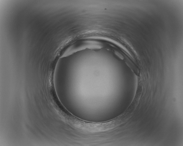 X0000078890023200611201448