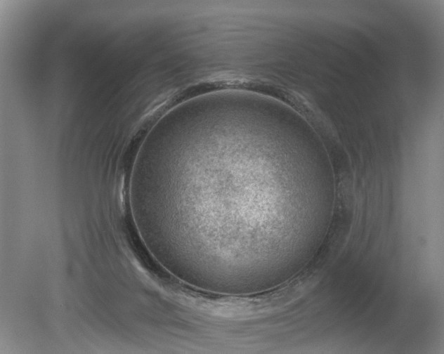 X0000078890024200611201448