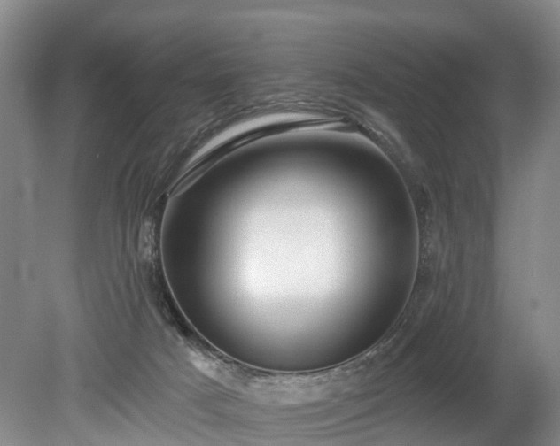 X0000078890025200611201448